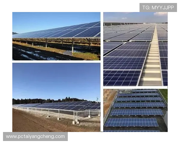 太阳集团官网首页最新动态全面解析,掌握企业发展最新资讯 太阳集团官网首页最新动态全面解析,掌握企业发展最新资讯