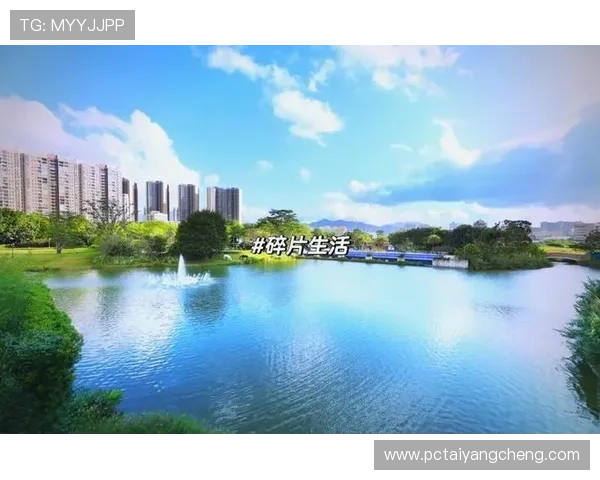 太阳队主场球馆的建筑风格与设计理念深度探讨