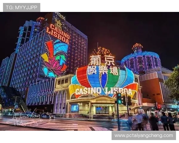 新葡京太阳城：融合创新与传统的豪华博彩娱乐新地标